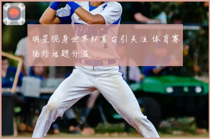 明星现身世界杯看台引关注 体育赛场外话题升温